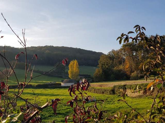 Pré et forêt au lavoir de Nourice