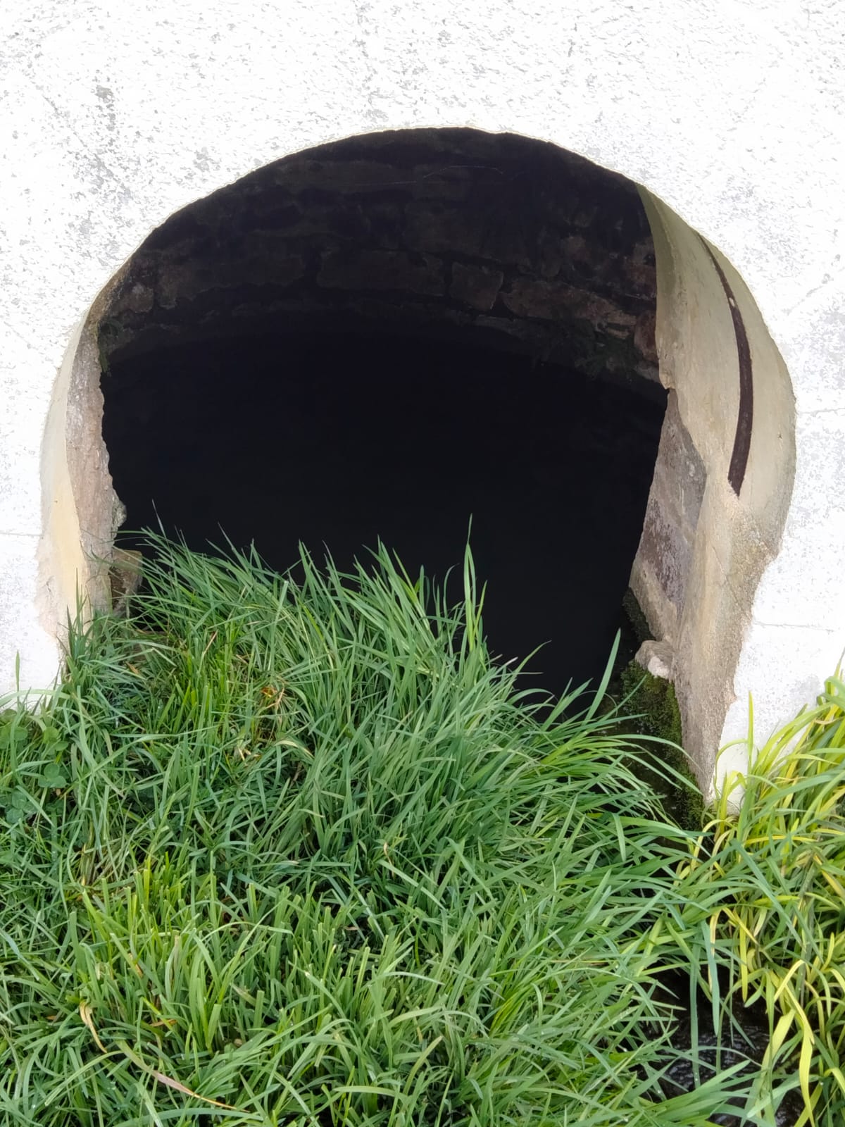 Détail de la source