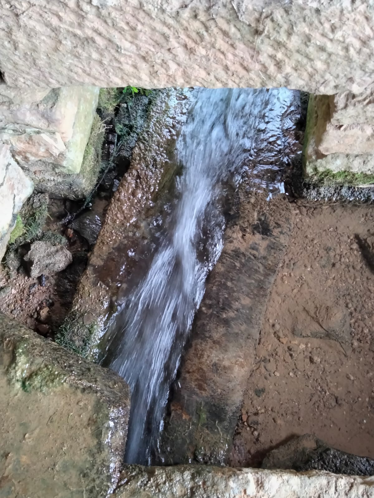 Trop plein du lavoir