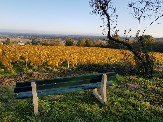 Banc de Valentine après restauration