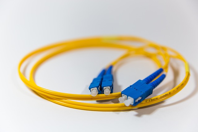 Photo d'un cable de fibre optique