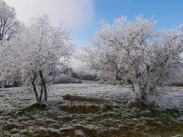 Le banc de la croix du chêne