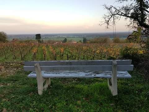 Banc de Valentine avant restauration